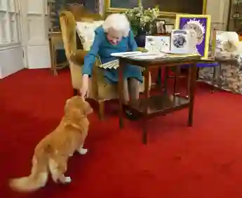 Königin Elisabeth II. mit ihrem Hund Candy am 4. Februar 2022