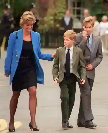 Lady Diana mit Prinz Harry und Prinz William 1995