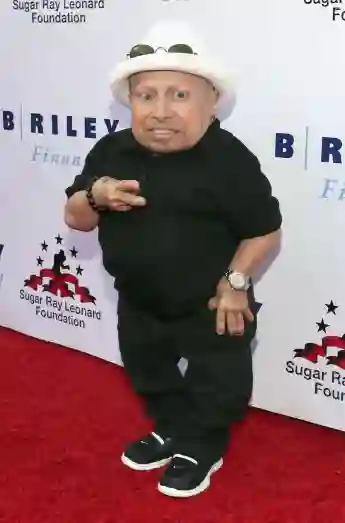 Verne Troyer, Harry Potter, Mini Me, Men in Black, Verne Troyer Austin Powers, Verne Troyer Selbstmord