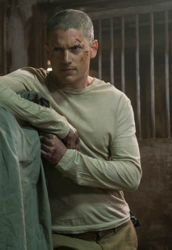 Wentworth Miller: Aktuelle News & Bilder | promipool.de