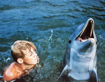 Poter Ricks ist Aufseher des Coral Kay Parks an der Küste Floridas Als Witwer kümmert er sich alle