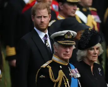 Prinz Harry und König Charles