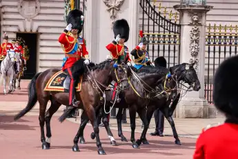 Prinz William bei Trooping the Colour.