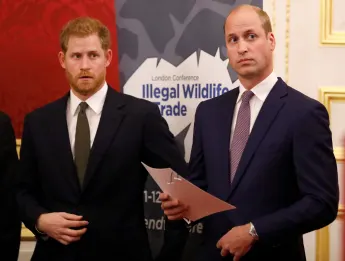 Prinz William und Prinz Harry