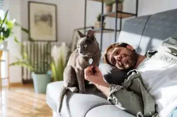 Neue Studie zu „Cat Dads“: Männer mit Katze gelten als fürsorglich, empathisch und beim Dating oft als positives Signal.