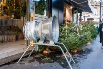weihnachtsbaum christbaum tanne weihnachten verkauf kauf