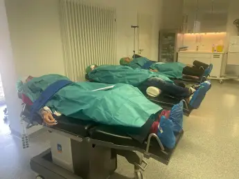 Die Geissens