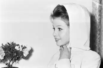 tot gestorben verstorben