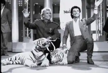 Siegfried und Roy bei einem Fernsehauftritt mit ihren weißen Tigern im Juni 1987.