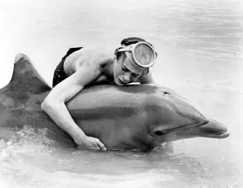 Luke Halpin in „Flipper“