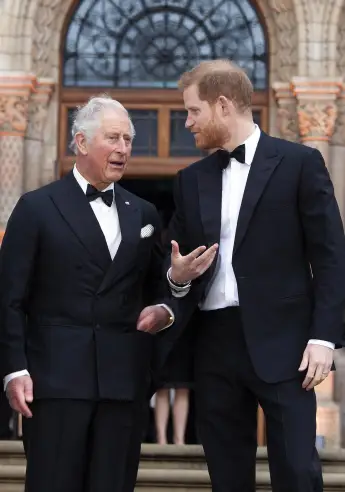 prinz harry prinz charles