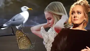 Stars, die merkwürdige Ängste haben