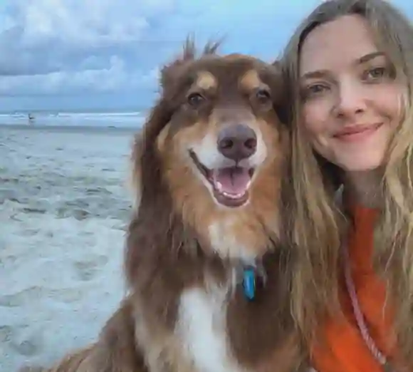 Amanda Seyfried und Hund Finn