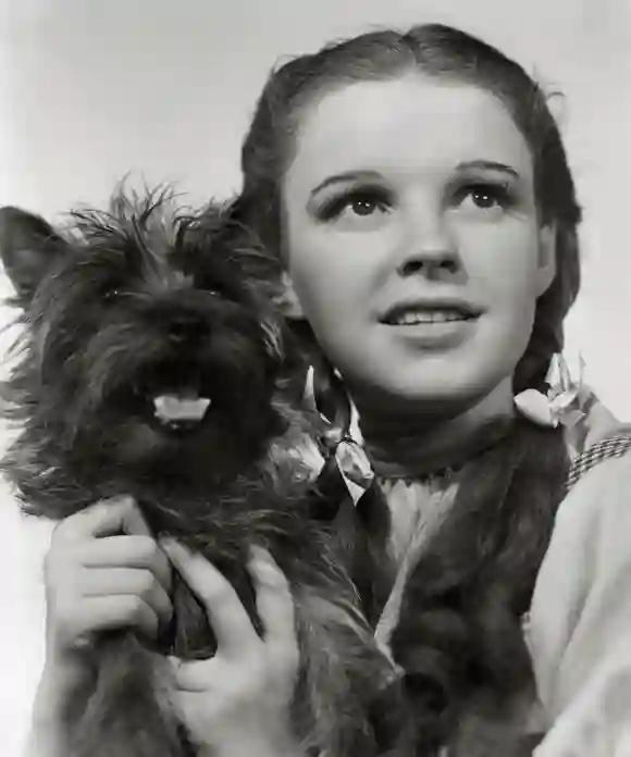 "Der Zauberer von Oz": Judy Garland