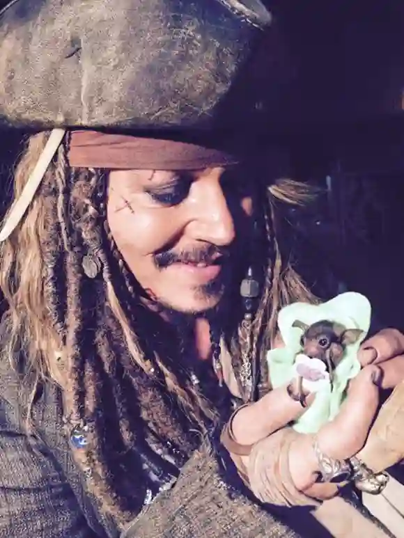 Johnny Depp freut sich sichtlich, die kleine Fledermaus auf dem Arm zu halten