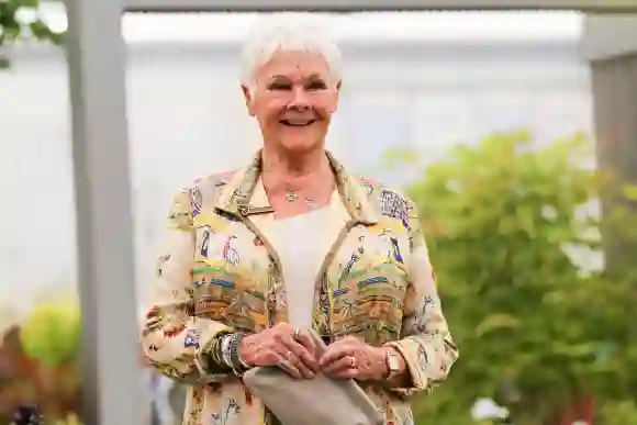 Judi Dench Haare