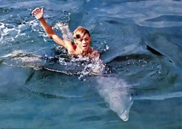 Luke Halpin in „Flipper"