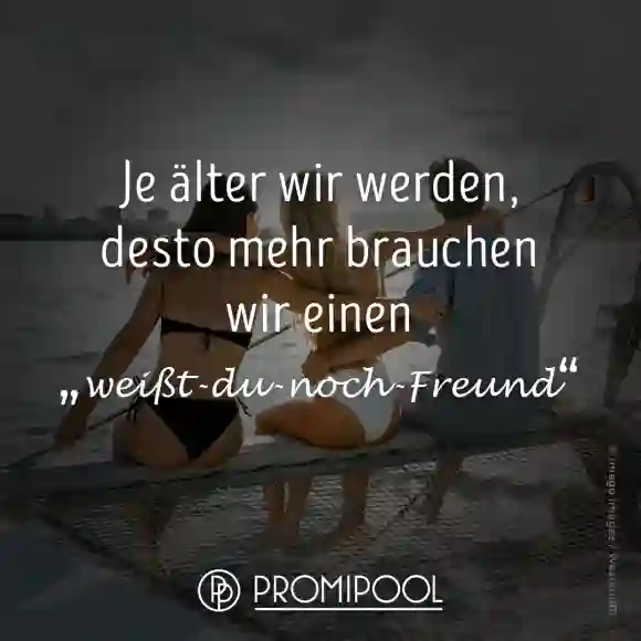 lustiger Spruch Freund