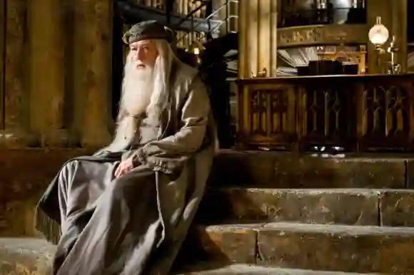 Michael Gambon im Film „Harry Potter"