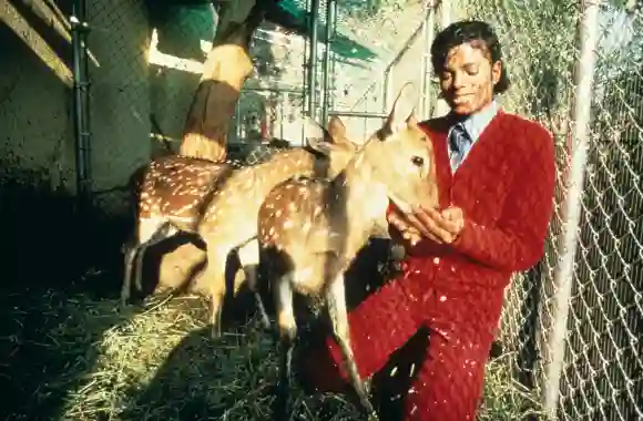 Michael Jackson im Jahr 1985