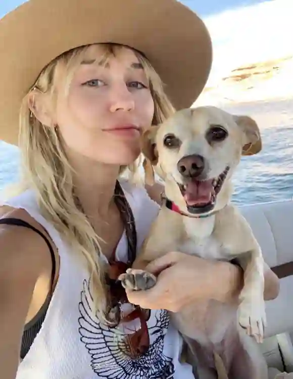 Miley Cyrus und Hund Bean