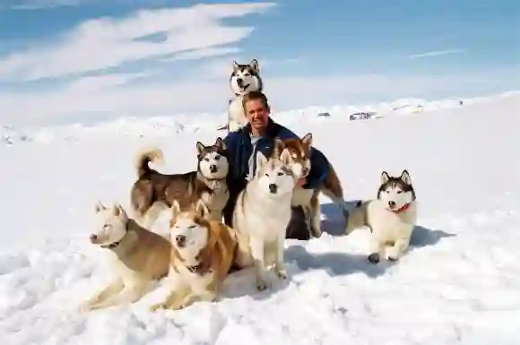 Paul Walker in „Antarctica - Gefangen im Eis“