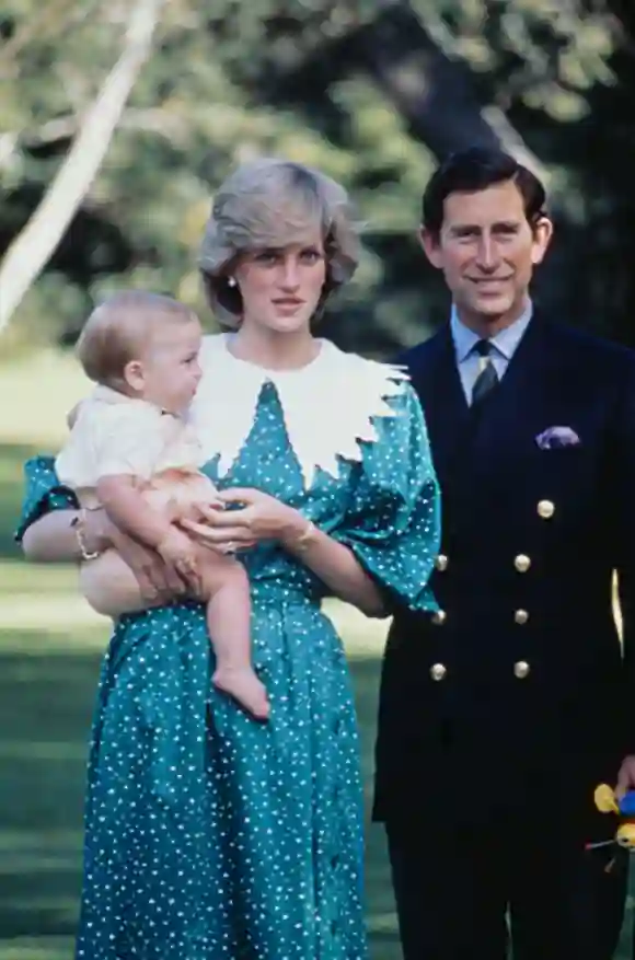 Prinzessin Diana, Prinz William und König Charles III