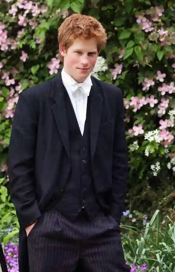 Prinz Harry im Jahr 2003