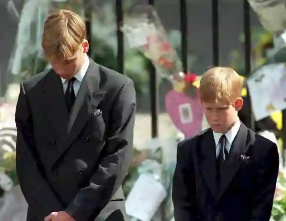 Prinz William und Prinz Harry bei der Beerdigung von Lady Diana