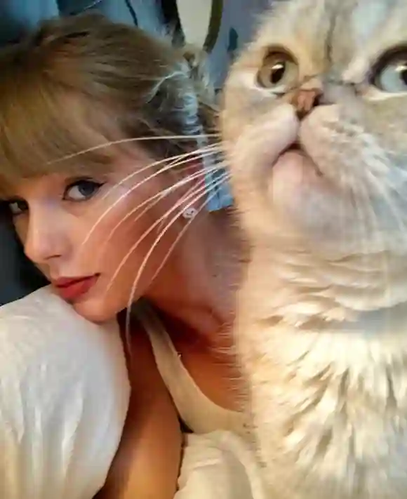 Taylor Swift und Katze Olivia