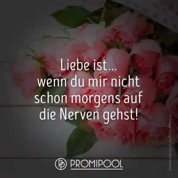 Spruch zum Valentinstag