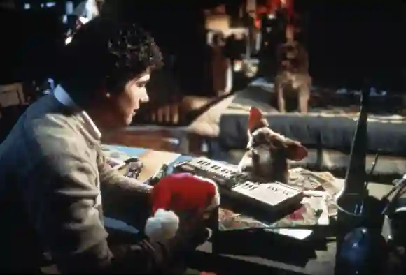 Zach Galligan in „Gremlins – Kleine Monster“