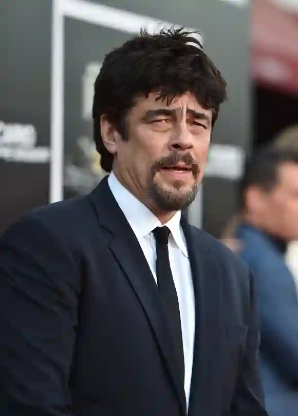 Benicio del Toro