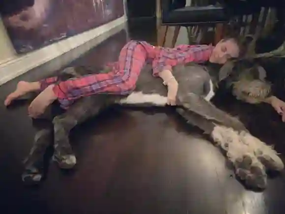 Heidi Klum mit Hund auf Instagram
