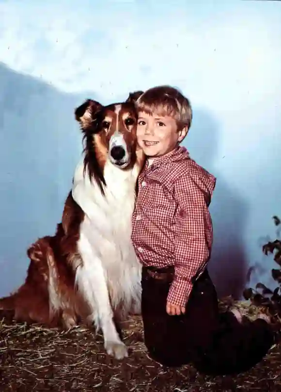 Jon Provost für „Lassie“ 1963