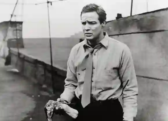 "On the Waterfront": Marlon Brando