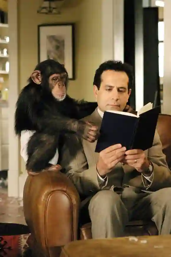 "Monk": Tony Shalhoub