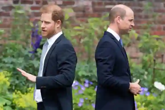 Prinz Harry und Prinz William