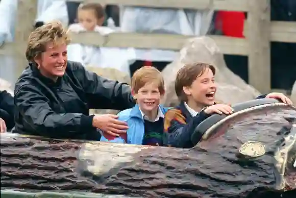Prinzessin Diana, Prinz Harry und Prinz William