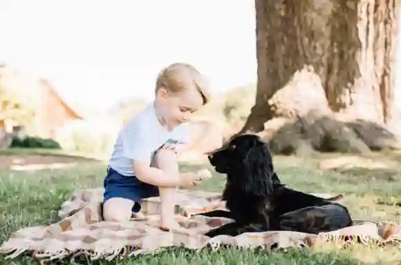 Prinz George und Hund Lupo
