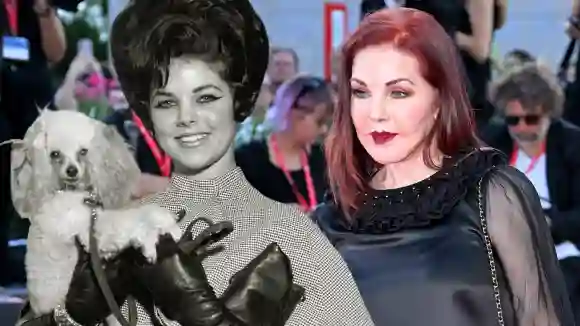 priscilla presley früher heute