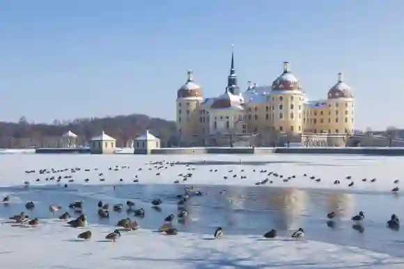 schloss moritzburg dresden