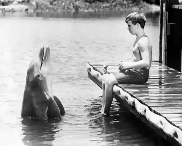 Tommy Norden in „Flipper“