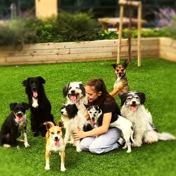 das supertalent 2017; alex lauenburger