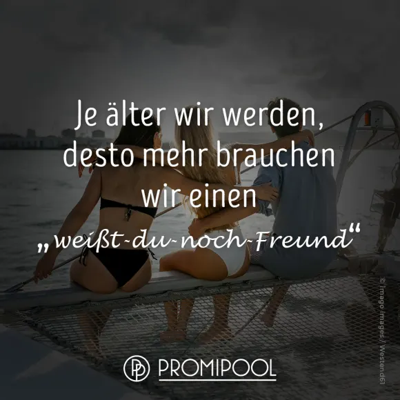 lustiger Spruch Freund