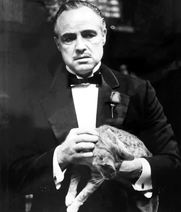"Der Pate": Marlon Brando
