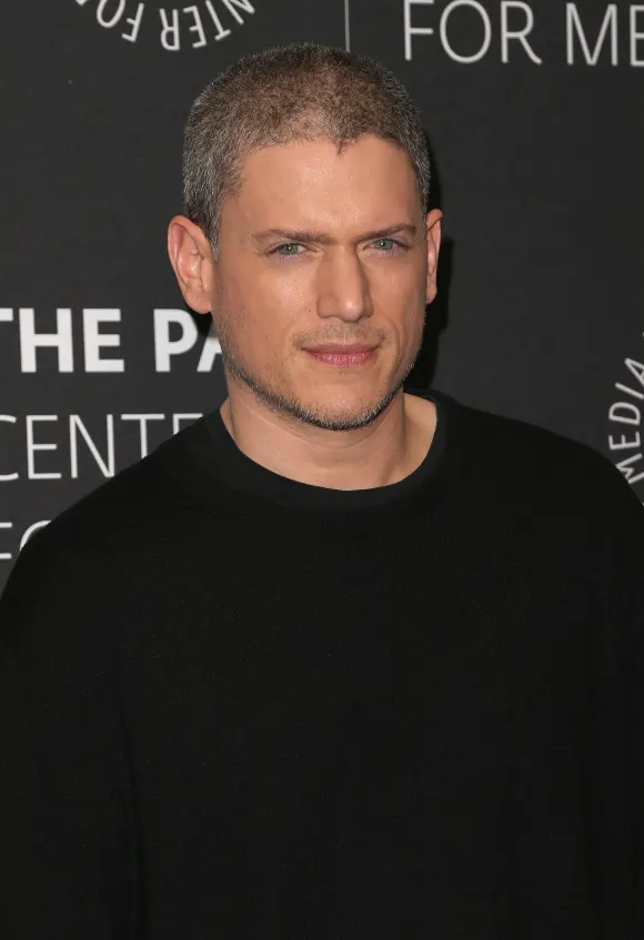 Wentworth Miller law & order