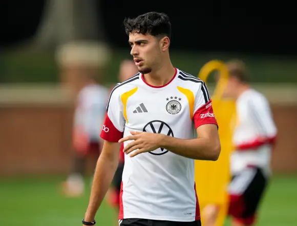 aleksandar pavlović