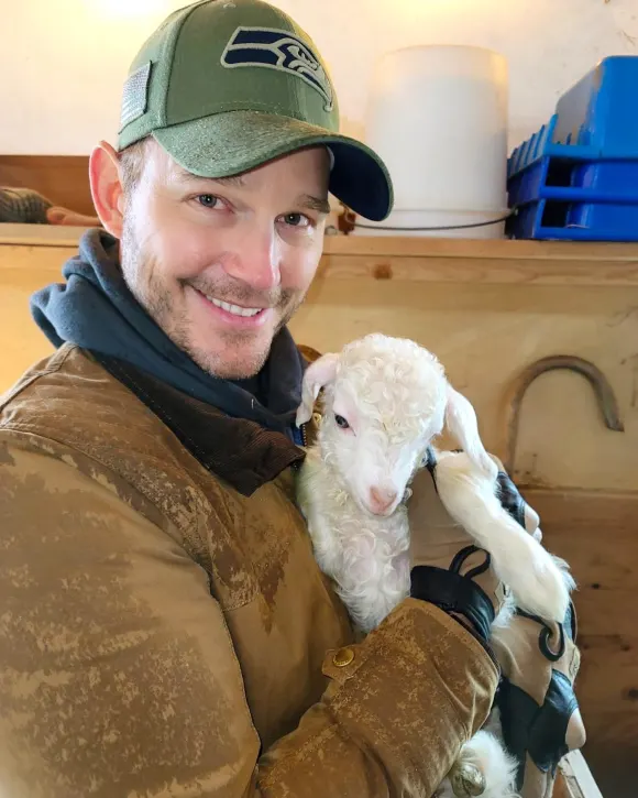 chris pratt lamm