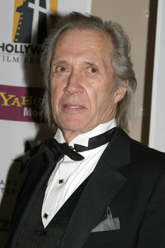 david carradine fackeln im sturm